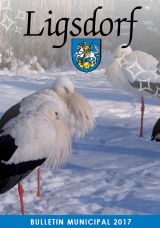 bulletin municipal p